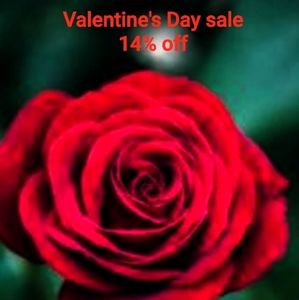 Valentine's Day Sale
